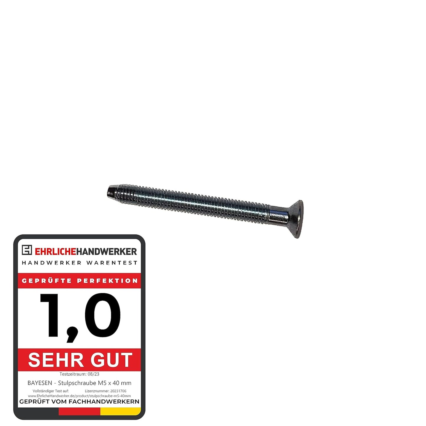 Standard Zuverlässige Zylinderbefestigung: Stulpschraube M5 x ab 40 mm Zur Zylinder Befestigung, Gewinde mit Spitze, verzinkt