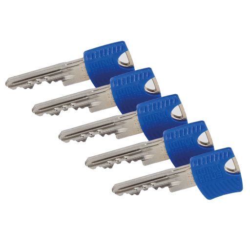 Winkhaus keyTec RPE Profil-Hebelzylinder