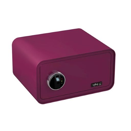 mySafe 430 - Fingerprint Elektronik-Möbel-Tresor, Elektronikschloss mit Fingerprint, inkl. 2 Notschlüssel
