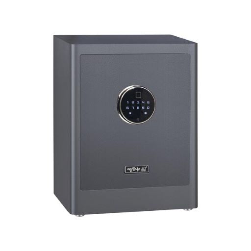 mySafe Premium 450 - Elektronik-Möbel-Tresor, Touch-Display für Codeeingabe oder Fingerprint