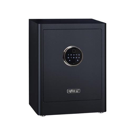 mySafe Premium 450 - Elektronik-Möbel-Tresor, Touch-Display für Codeeingabe oder Fingerprint